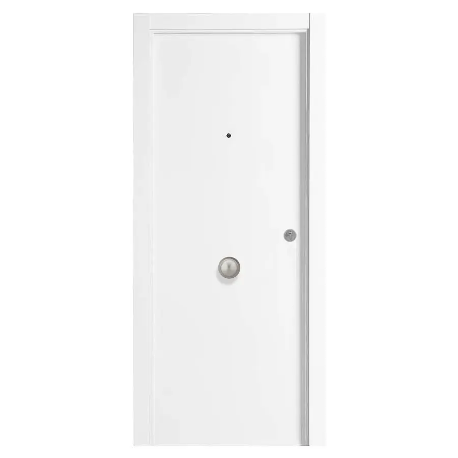 BLOC BLINDAT / ENTRADA AMB PANY PERIMETRAL